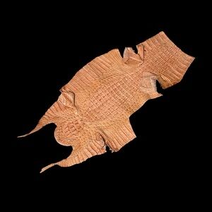 Vintage Florida Hornback Crocodile Hide Orange Nile Crocodile Horn Back Hide 24”